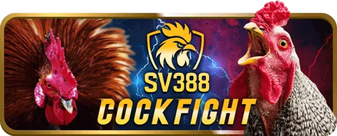 Các bước chơi nổ hũ mcw7733