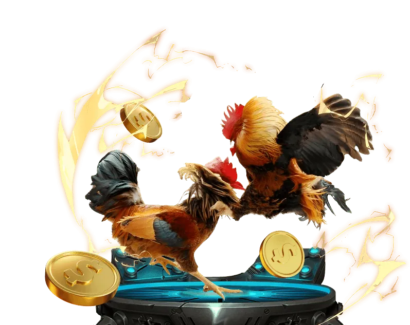 Hỗ trợ khách hàng